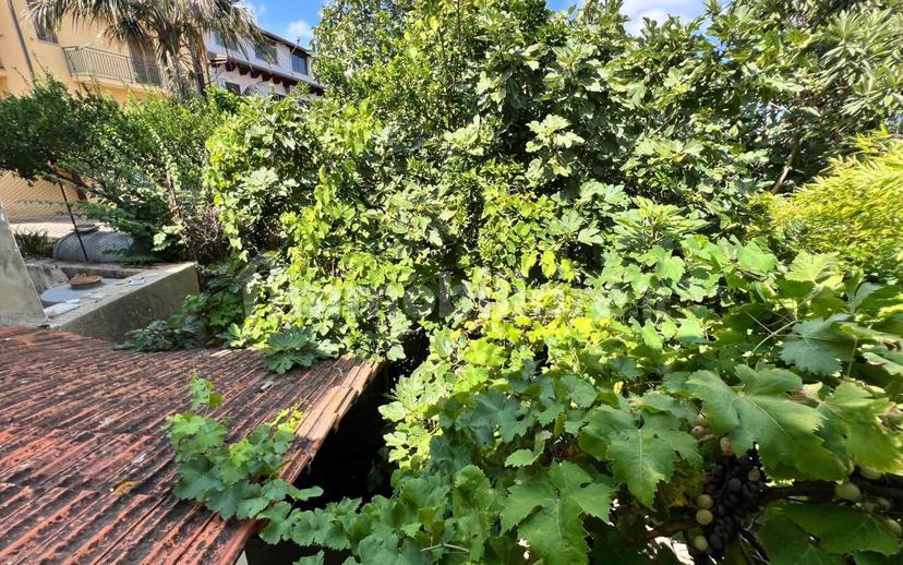 Terratetto unifamiliare via Nicolò Antonio Gravazio 20, Sciconi, Briatico — foto 17 di 32