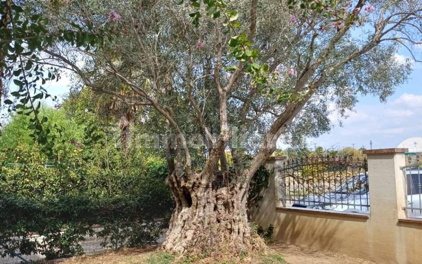 Villa unifamiliare, ottimo stato, 350 m², Centro, Rivergaro — foto 5 di 36
