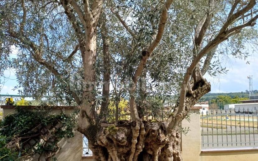 Villa unifamiliare, ottimo stato, 350 m², Centro, Rivergaro — foto 11 di 36
