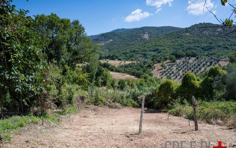 Villa bifamiliare Località Colle di Configni, Configni — foto 26 di 55