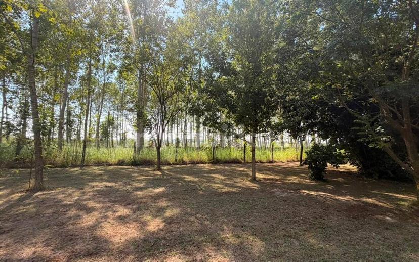 Villa unifamiliare via Romea, Rivà, Ariano nel Polesine — foto 52 di 58