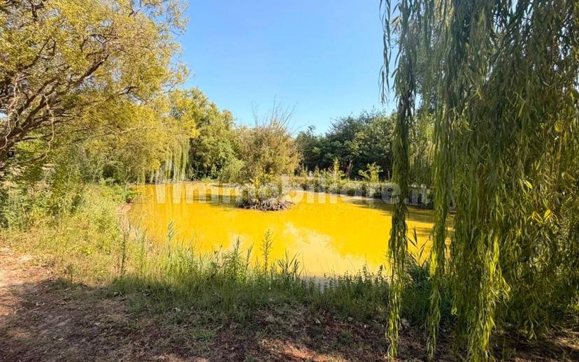 Villa unifamiliare via Romea, Rivà, Ariano nel Polesine — foto 19 di 58
