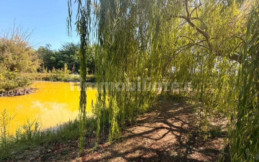 Villa unifamiliare via Romea, Rivà, Ariano nel Polesine — foto 55 di 58