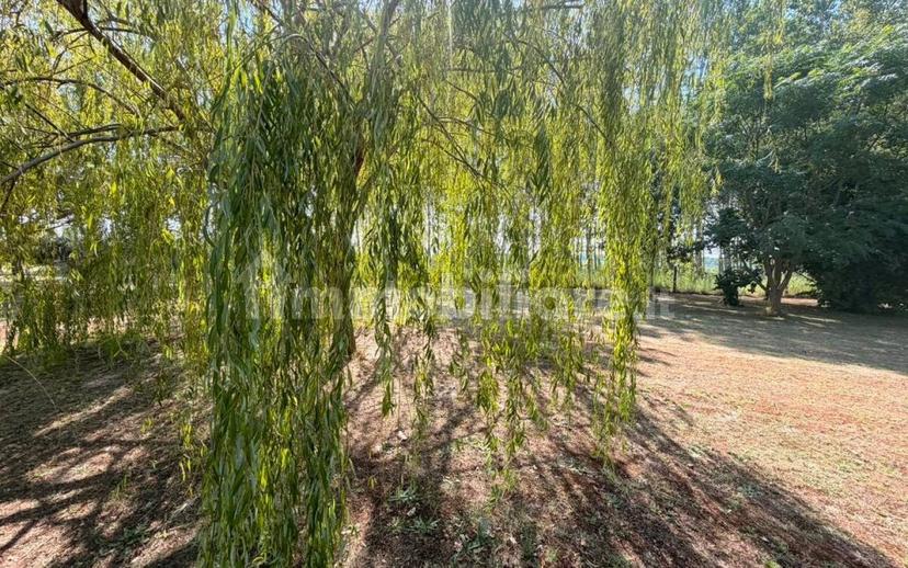 Villa unifamiliare via Romea, Rivà, Ariano nel Polesine — foto 36 di 58