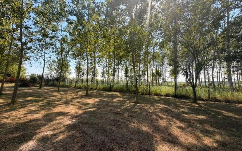 Villa unifamiliare via Romea, Rivà, Ariano nel Polesine — foto 44 di 58
