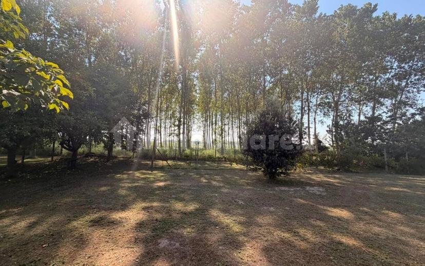 Villa unifamiliare via Romea, Rivà, Ariano nel Polesine — foto 50 di 58
