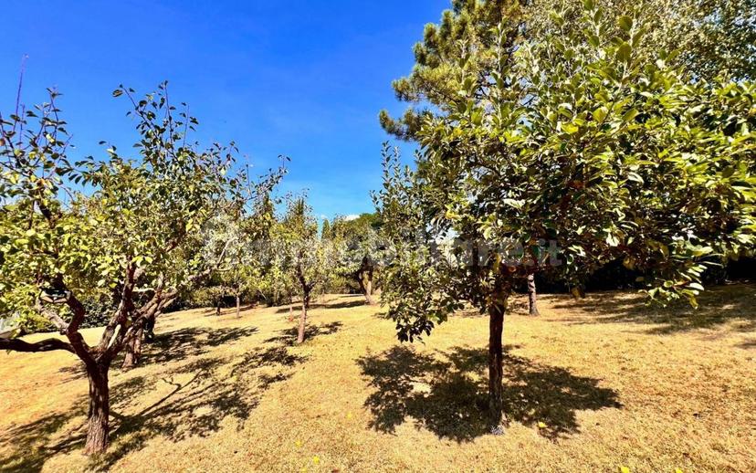 Villa unifamiliare Strada Vicinale del Colcello, Monterchi — foto 32 di 50