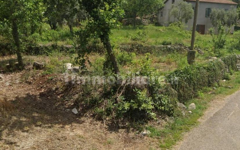 Trilocale Contrada Loganella, Amaseno — foto 14 di 19