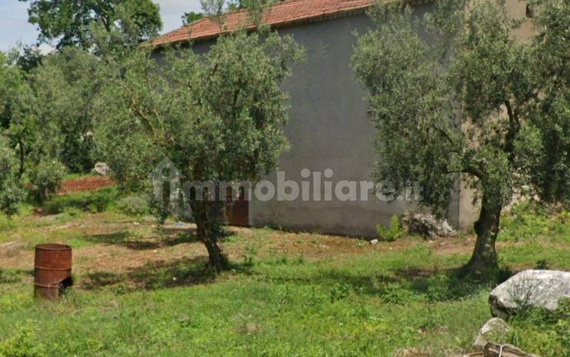 Trilocale Contrada Loganella, Amaseno — foto 2 di 19