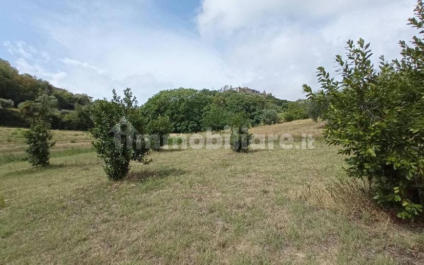 Casa colonica Contrada Marezi 16, Massignano — foto 46 di 47