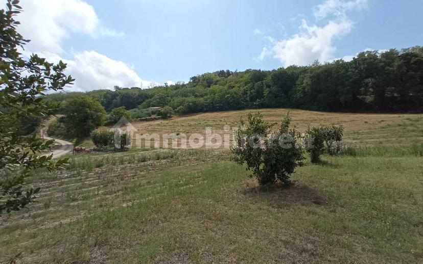 Casa colonica Contrada Marezi 16, Massignano — foto 40 di 47