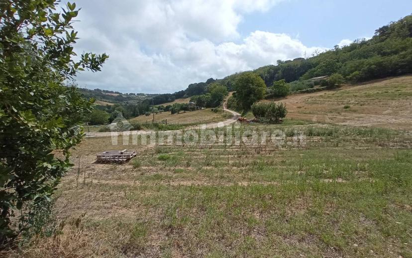 Casa colonica Contrada Marezi 16, Massignano — foto 45 di 47
