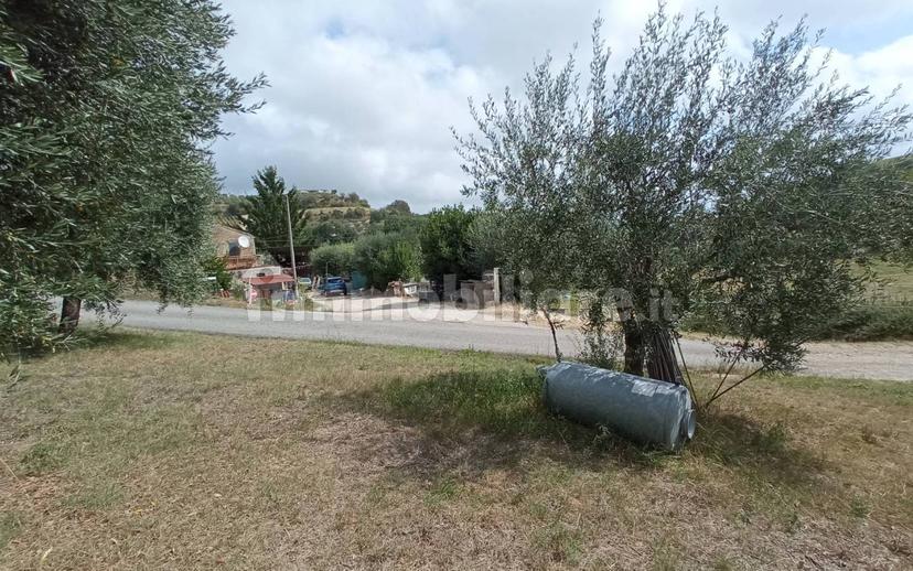 Casa colonica Contrada Marezi 16, Massignano — foto 41 di 47