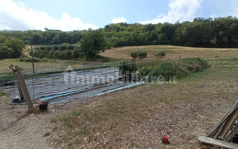 Casa colonica Contrada Marezi 16, Massignano — foto 35 di 47