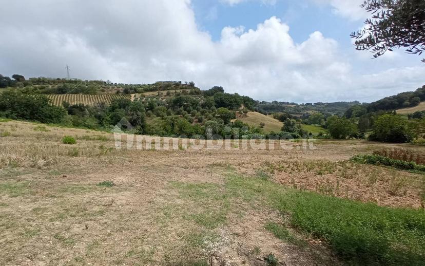 Casa colonica Contrada Marezi 16, Massignano — foto 2 di 47