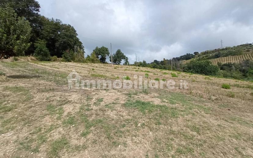 Casa colonica Contrada Marezi 16, Massignano — foto 36 di 47