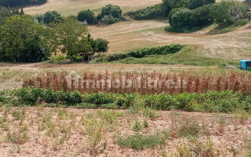 Casa colonica Contrada Marezi 16, Massignano — foto 28 di 47
