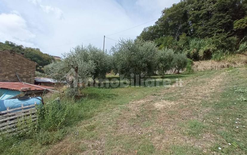 Casa colonica Contrada Marezi 16, Massignano — foto 33 di 47