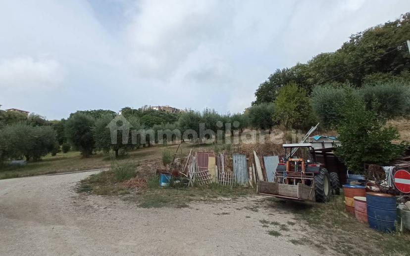 Casa colonica Contrada Marezi 16, Massignano — foto 32 di 47