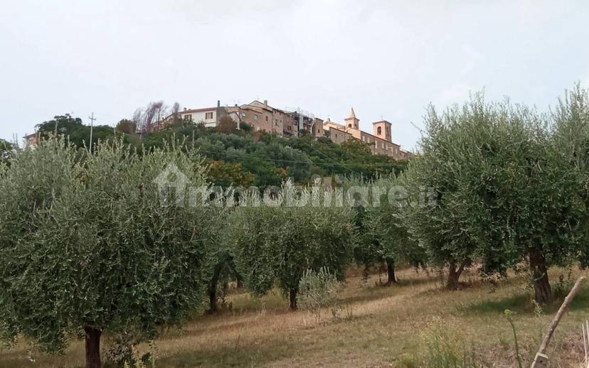 Casa colonica Contrada Marezi 16, Massignano — foto 7 di 47