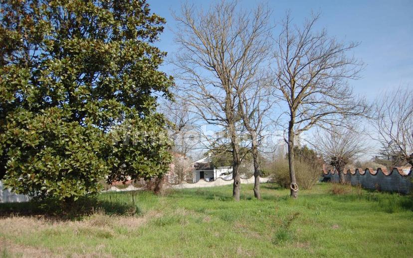 Villa bifamiliare, buono stato, 290 m², Centro, Quattordio — foto 11 di 37