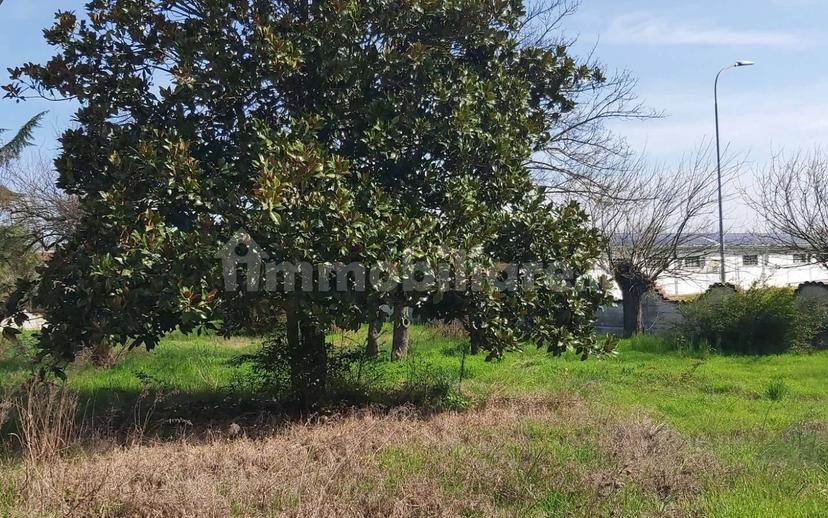Villa bifamiliare, buono stato, 290 m², Centro, Quattordio — foto 15 di 37