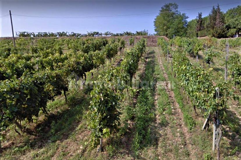 Bilocale via Sasso,, La Scala, Calenzano, San Miniato — foto 7 di 9