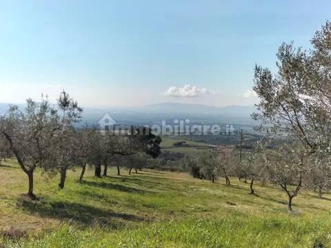 Rustico Località Poderino No Number, Roccastrada — foto 6 di 10