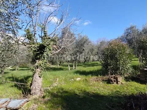 Rustico Località Poderino No Number, Roccastrada — foto 5 di 10