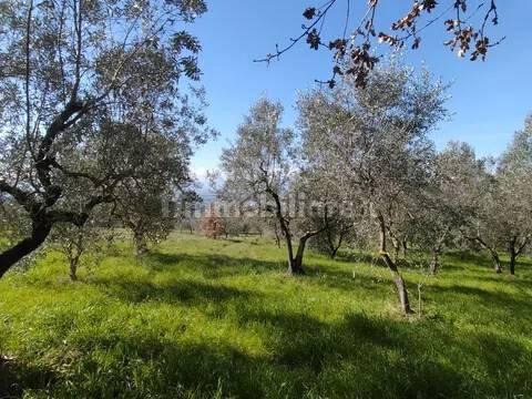 Rustico Località Poderino No Number, Roccastrada — foto 3 di 10