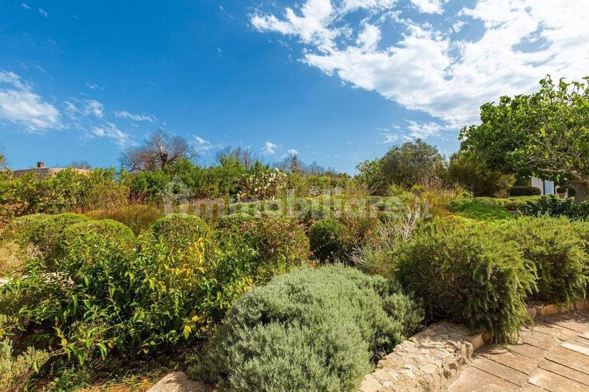 Villa unifamiliare Strada Comunale Schifazzi Leopoldi, Salve — foto 42 di 64