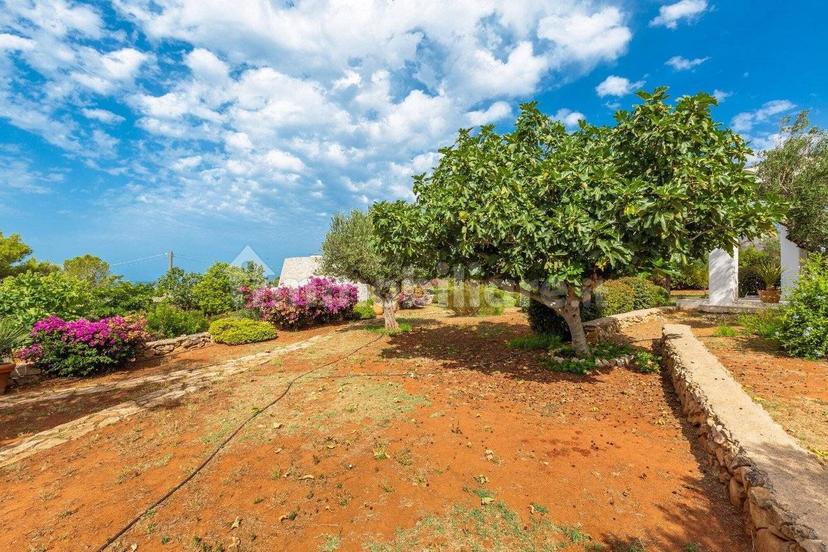 Villa unifamiliare Strada Comunale Schifazzi Leopoldi, Salve — foto 17 di 64