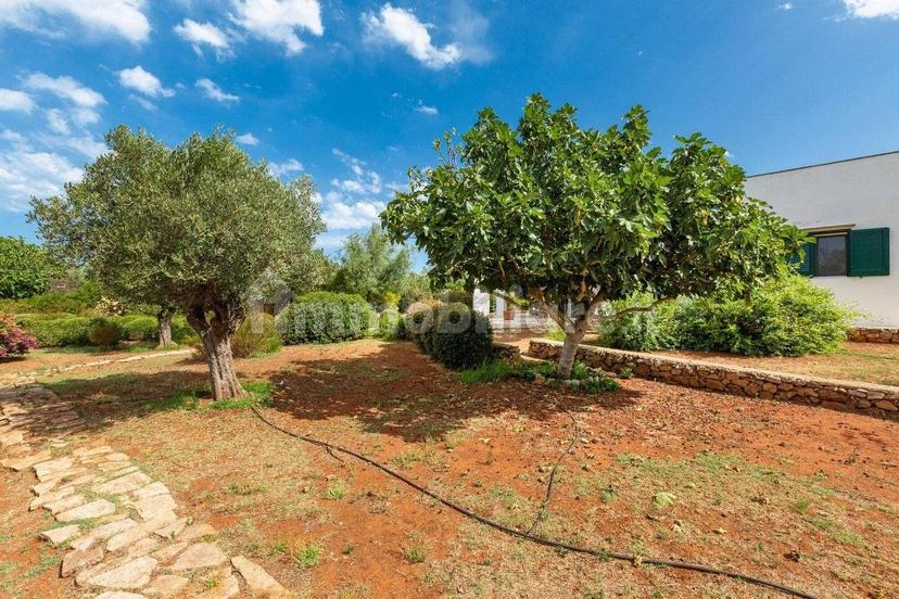 Villa unifamiliare Strada Comunale Schifazzi Leopoldi, Salve — foto 29 di 64