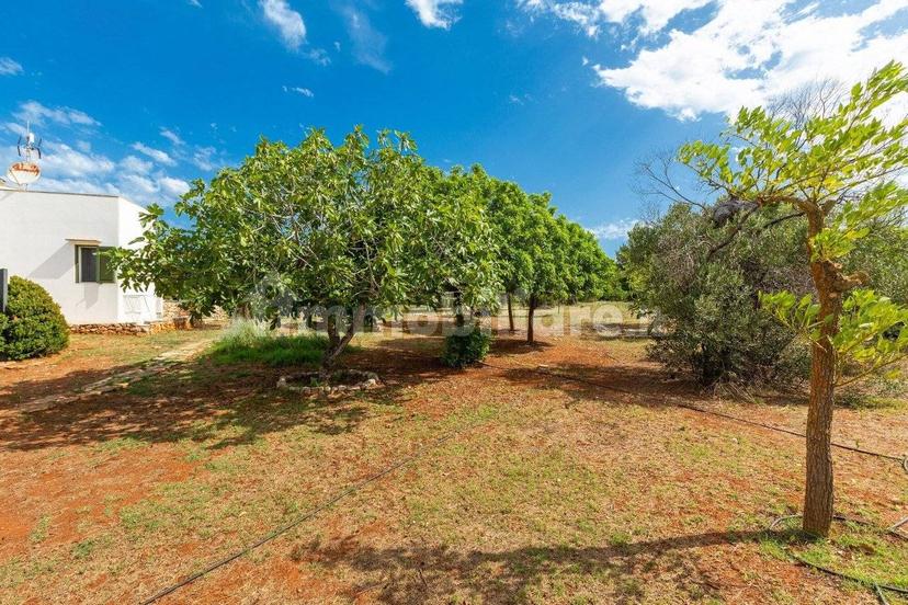 Villa unifamiliare Strada Comunale Schifazzi Leopoldi, Salve — foto 32 di 64