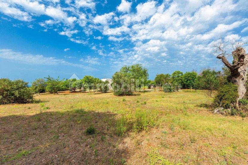 Villa unifamiliare Strada Comunale Schifazzi Leopoldi, Salve — foto 25 di 64