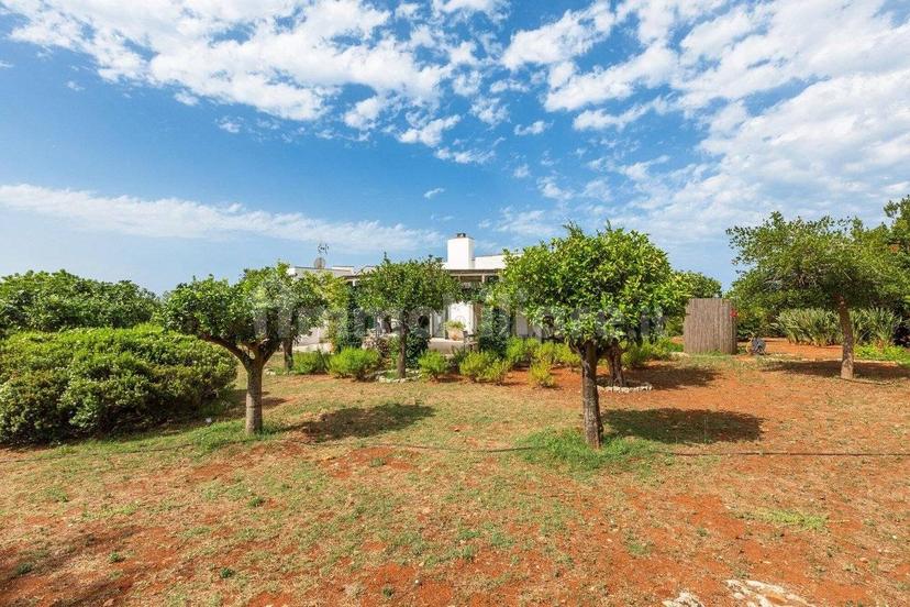 Villa unifamiliare Strada Comunale Schifazzi Leopoldi, Salve — foto 26 di 64