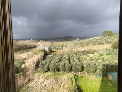 Appartamento via Montemassi, 33, Ribolla, Roccastrada — foto 14 di 17