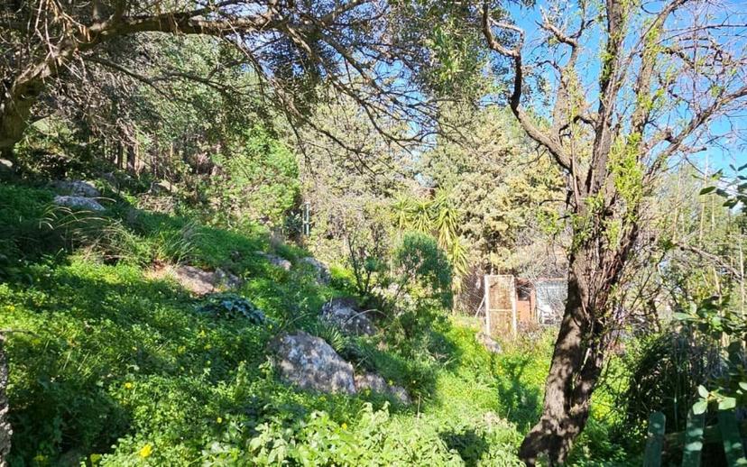 Villa unifamiliare via Svizzera 74, Torre Muzza, Carini — foto 8 di 20