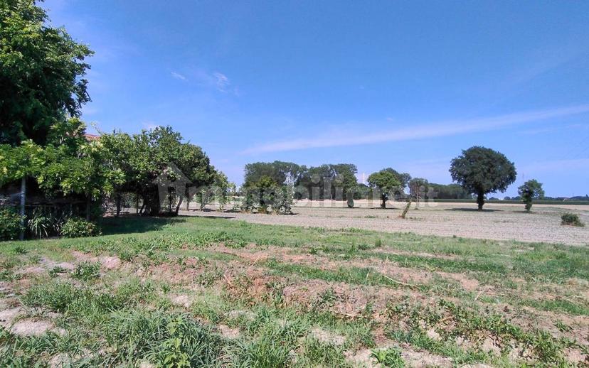 Rustico via Pallada, Malcontenta, Mira — foto 10 di 11