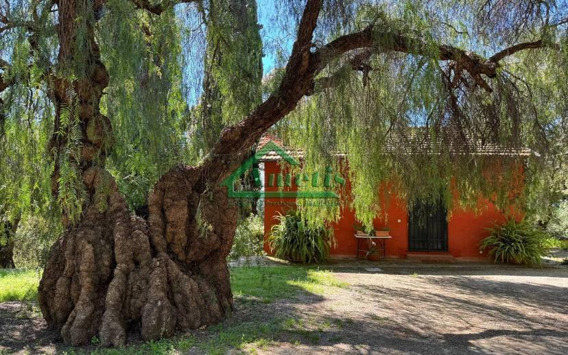 Villa unifamiliare via Serrati, Oneglia, Imperia — foto 11 di 32