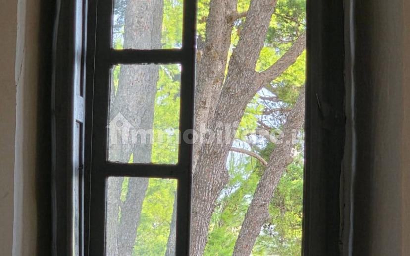 Villa unifamiliare Strada Vicinale Prandico 1, Tuglie — foto 72 di 106