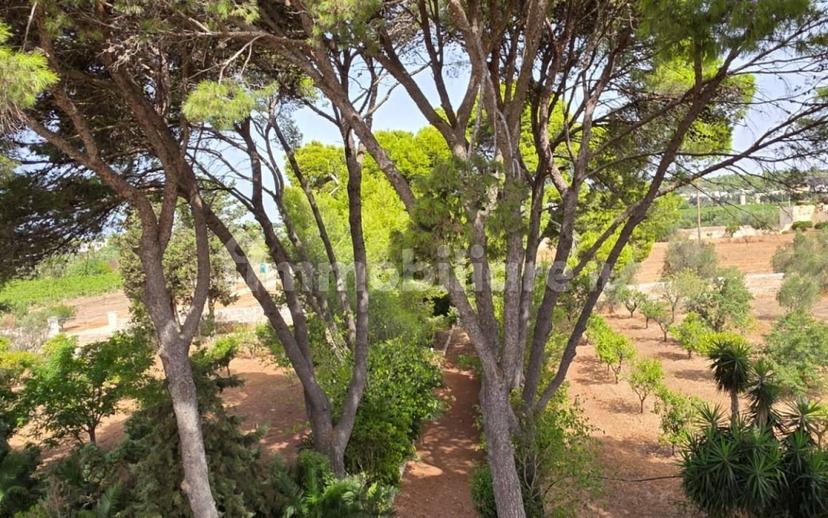 Villa unifamiliare Strada Vicinale Prandico 1, Tuglie — foto 59 di 106