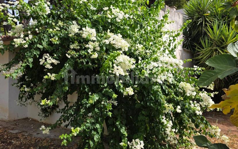 Villa unifamiliare Strada Vicinale Prandico 1, Tuglie — foto 27 di 106