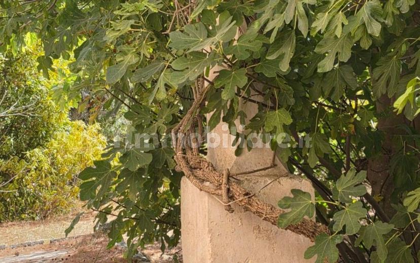 Villa unifamiliare Strada Vicinale Prandico 1, Tuglie — foto 48 di 106