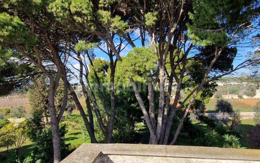 Villa unifamiliare Strada Vicinale Prandico 1, Tuglie — foto 66 di 106