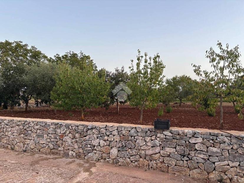 Villa unifamiliare Contrada Guarini, Martina Franca — foto 19 di 49
