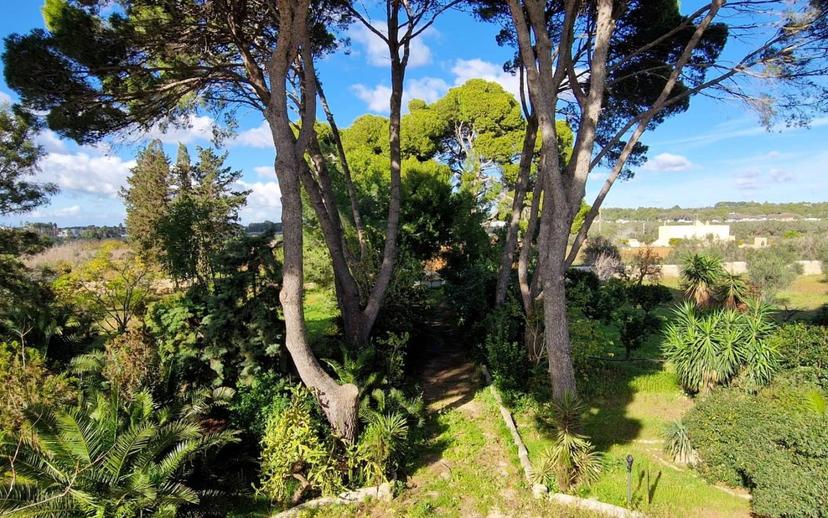 Villa unifamiliare Strada Vicinale Prandico 1, Tuglie — foto 42 di 106