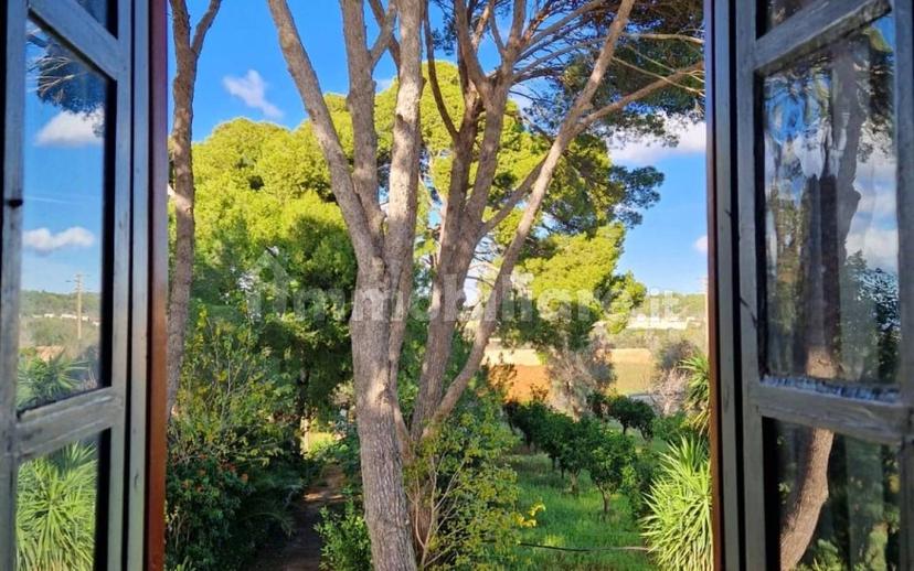 Villa unifamiliare Strada Vicinale Prandico 1, Tuglie — foto 32 di 106