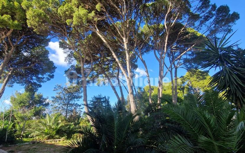 Villa unifamiliare Strada Vicinale Prandico 1, Tuglie — foto 13 di 106