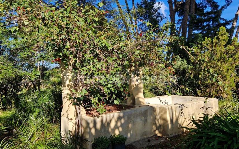 Villa unifamiliare Strada Vicinale Prandico 1, Tuglie — foto 19 di 106